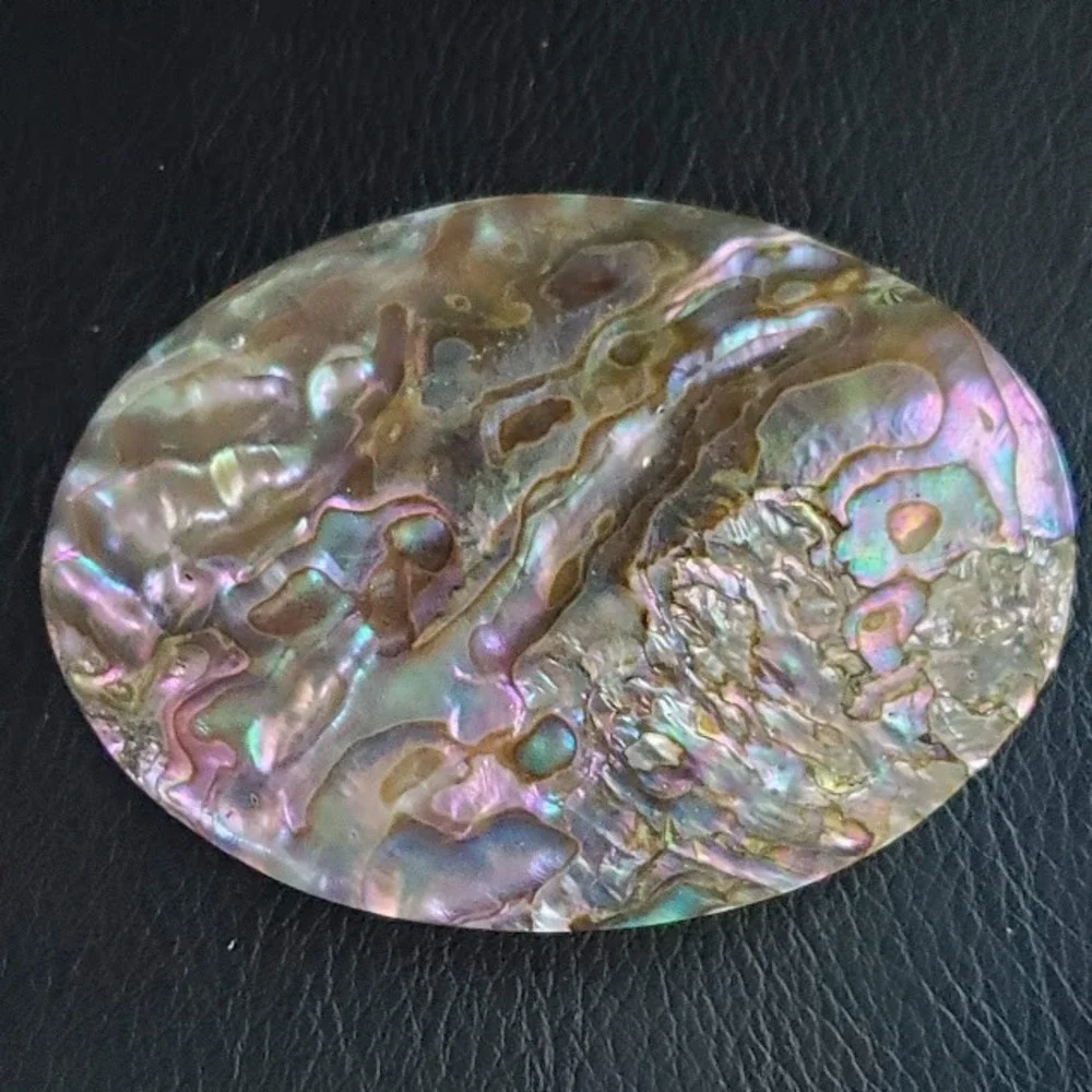 Large Oval Abalone Shell Belt Buckle Iridescent Mother of Pearl Western Boho